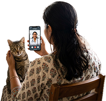 Consult for your pet in just 30s